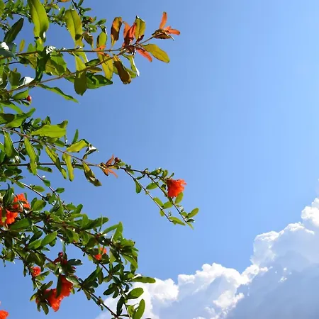 Bed and Breakfast Al Chiaro Di Luna 3*