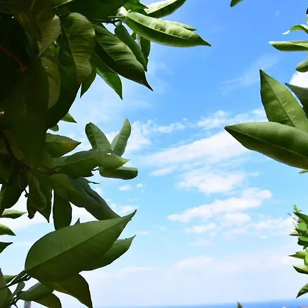 Al Chiaro Di Luna Bed and Breakfast