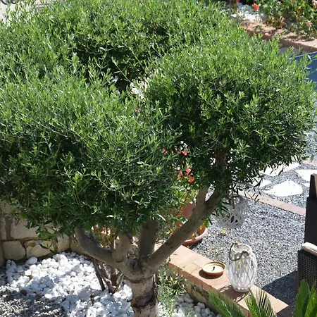 Al Chiaro Di Luna 3* Paola