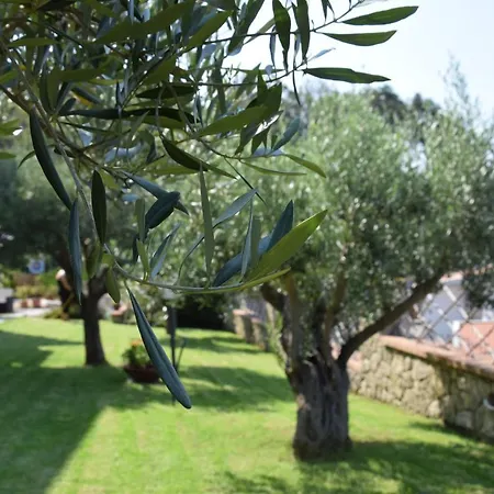Bed and Breakfast Al Chiaro Di Luna