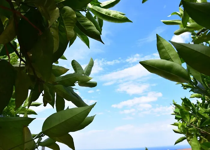 Al Chiaro Di Luna Alojamento de Acomodação e Pequeno-almoço