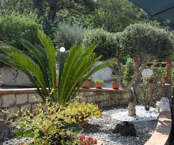 Alojamento de Acomodação e Pequeno-almoço Al Chiaro Di Luna 3*