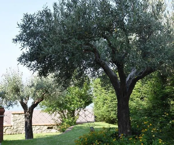 Alojamento de Acomodação e Pequeno-almoço Al Chiaro Di Luna Paola