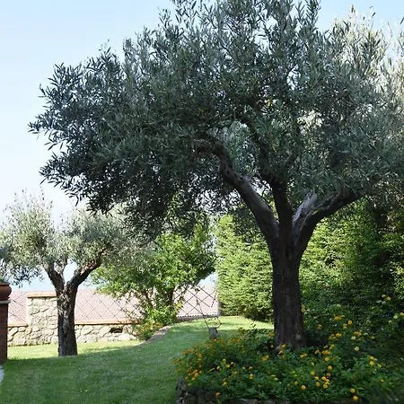 Panzió Al Chiaro Di Luna Paola