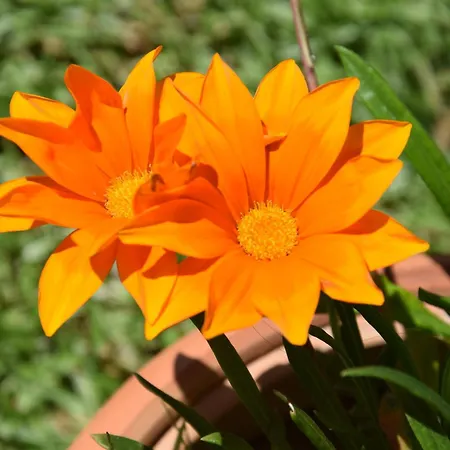 Oda ve Kahvaltı Al Chiaro Di Luna 3*