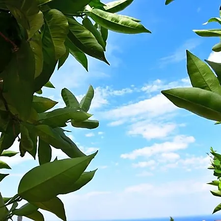 Bed & Breakfast Al Chiaro Di Luna