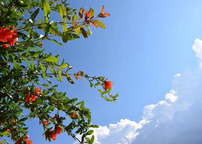 住宿加早餐酒店 Al Chiaro Di Luna 3*