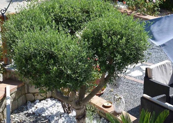 Al Chiaro Di Luna 3* 帕奥拉