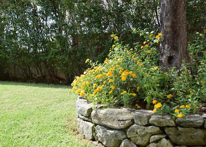 Al Chiaro Di Luna 住宿加早餐酒店 帕奥拉